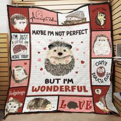 Hedgedog Lover 3D Customized Quilt and Home Decor