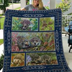 Hedgehog Quilt Wfy and Home Decor