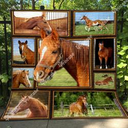 Horse Quilt Qic and Home Decor