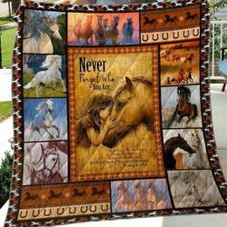 Horse Quilt Qkp and Home Decor