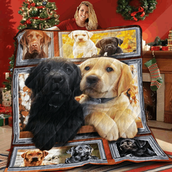 Labrado White Space V1 3D Customized Quilt and Home Decor