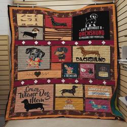 Life Without A Dachshund Is Possible But Pointless Quilt Blanket Great Customized Blanket Gifts For Birthday Christmas Thanksgiving and Home Decor
