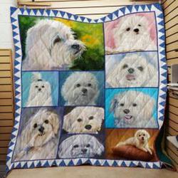 Maltese Quilt Blanket Luko3C Dhc0301942Dd and Home Decor