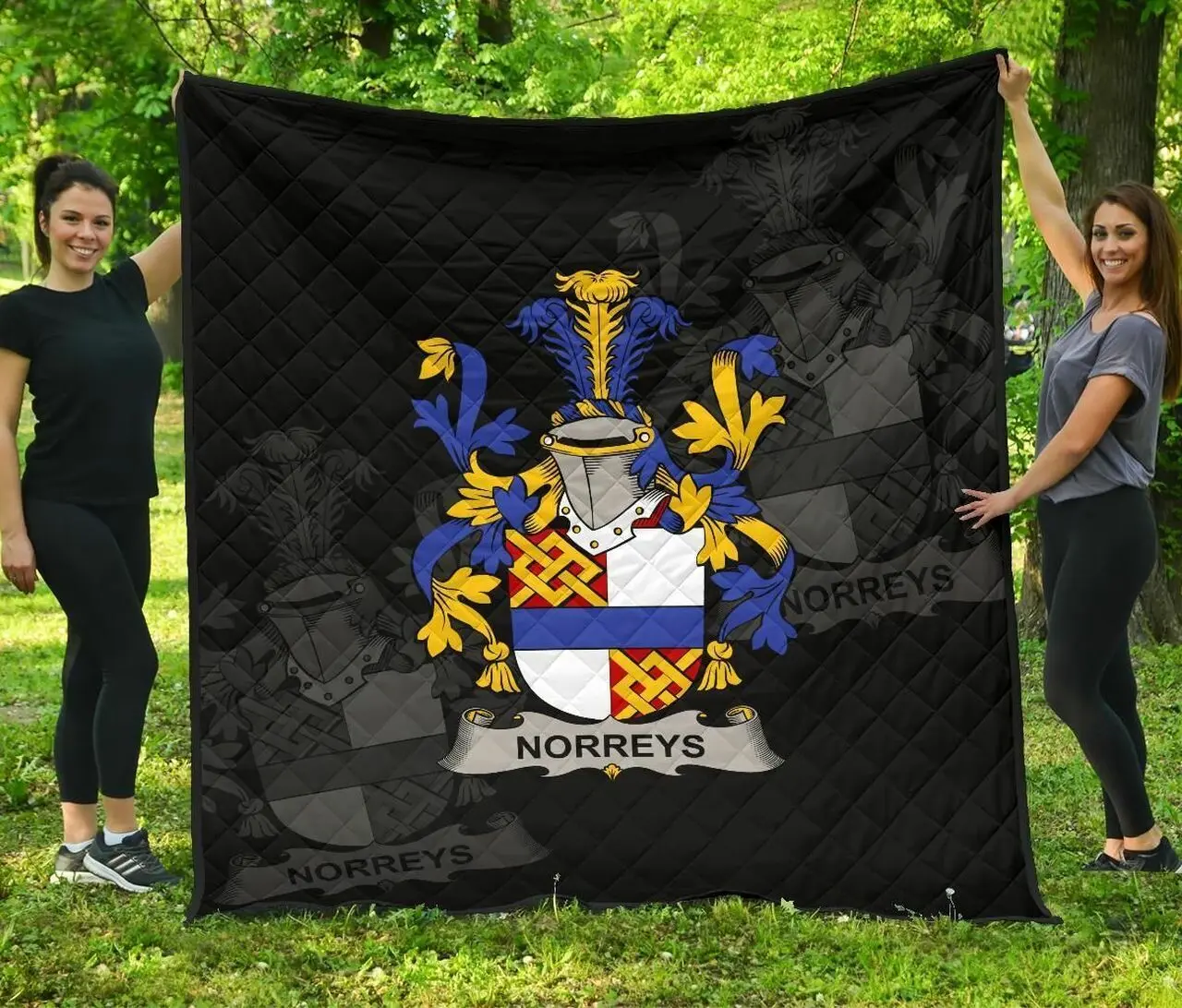Norreys Ireland Irish Family Crest JFJ10615 3D Customized Quilt 2707 and Home Decor