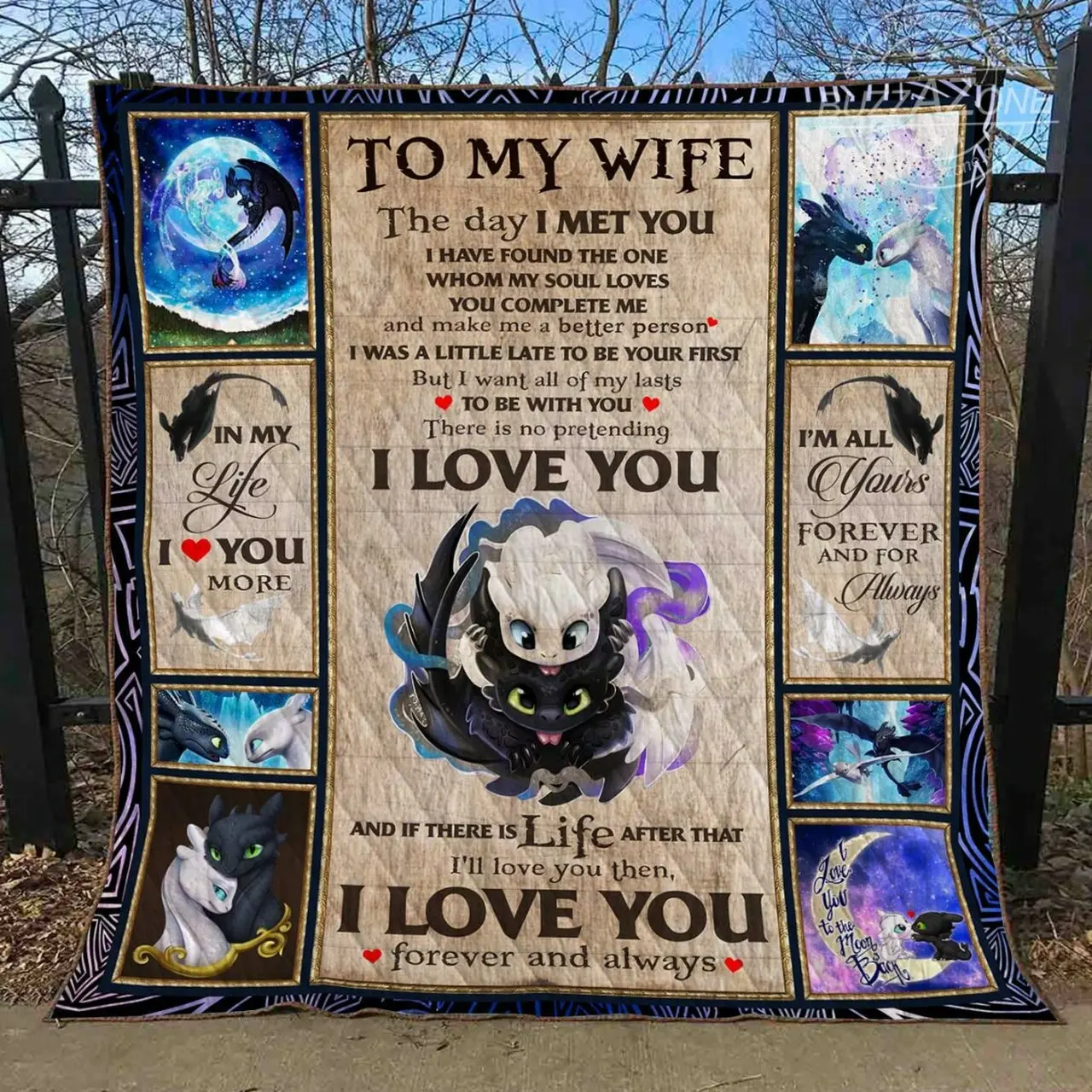 Once Upon A Time Quilt Toothless Nh and Home Decor