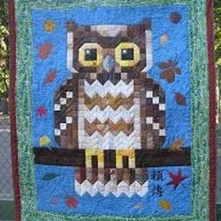 Owl Clp190662 Quilt Blanket and Home Decor
