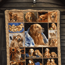 Owl Dont Look At Owl Eyes U Quilt Db and Home Decor