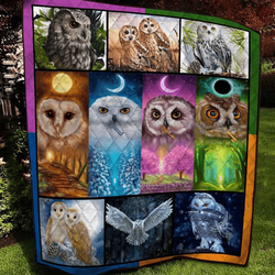 Owl JFJ10936 3D Customized Quilt 2707 and Home Decor