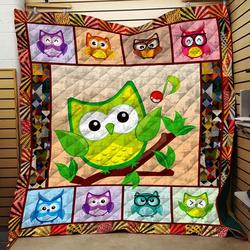 Owl JFJ10962 3D Customized Quilt 2707 and Home Decor