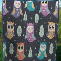 Owl Quilt Tdhtf and Home Decor