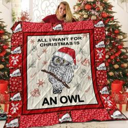 Owl The Chariot Love 3D Customized Quilt and Home Decor
