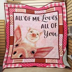 Pig Mom JFJ11325 3D Customized Quilt 2707 and Home Decor