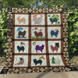 Pomeranian Ht290532 Quilt Blanket and Home Decor