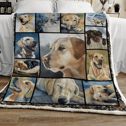 Pug Raining Men U Quilt Gm and Home Decor