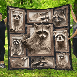 Raccoon Awesome LKI105 3D Customized Quilt Hip and Home Decor
