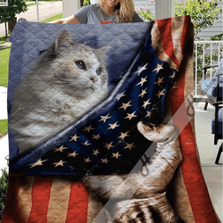 Ragdoll Cat Ta 03012019 Awesome LKI108 3D Customized Quilt and Home Decor