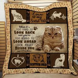 Scottish Fold WBM893 Awesome 3D Customized Quilt and Home Decor