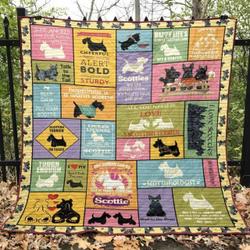 Some Angels Have Fur Instead Of Wings Quilt Blanket Aq55  Quilt and Home Decor