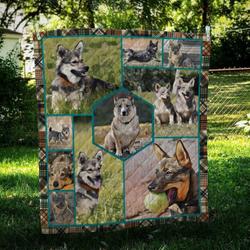 Swedish Vallhund Ball Cl10100241Mdq Quilt Blanket and Home Decor