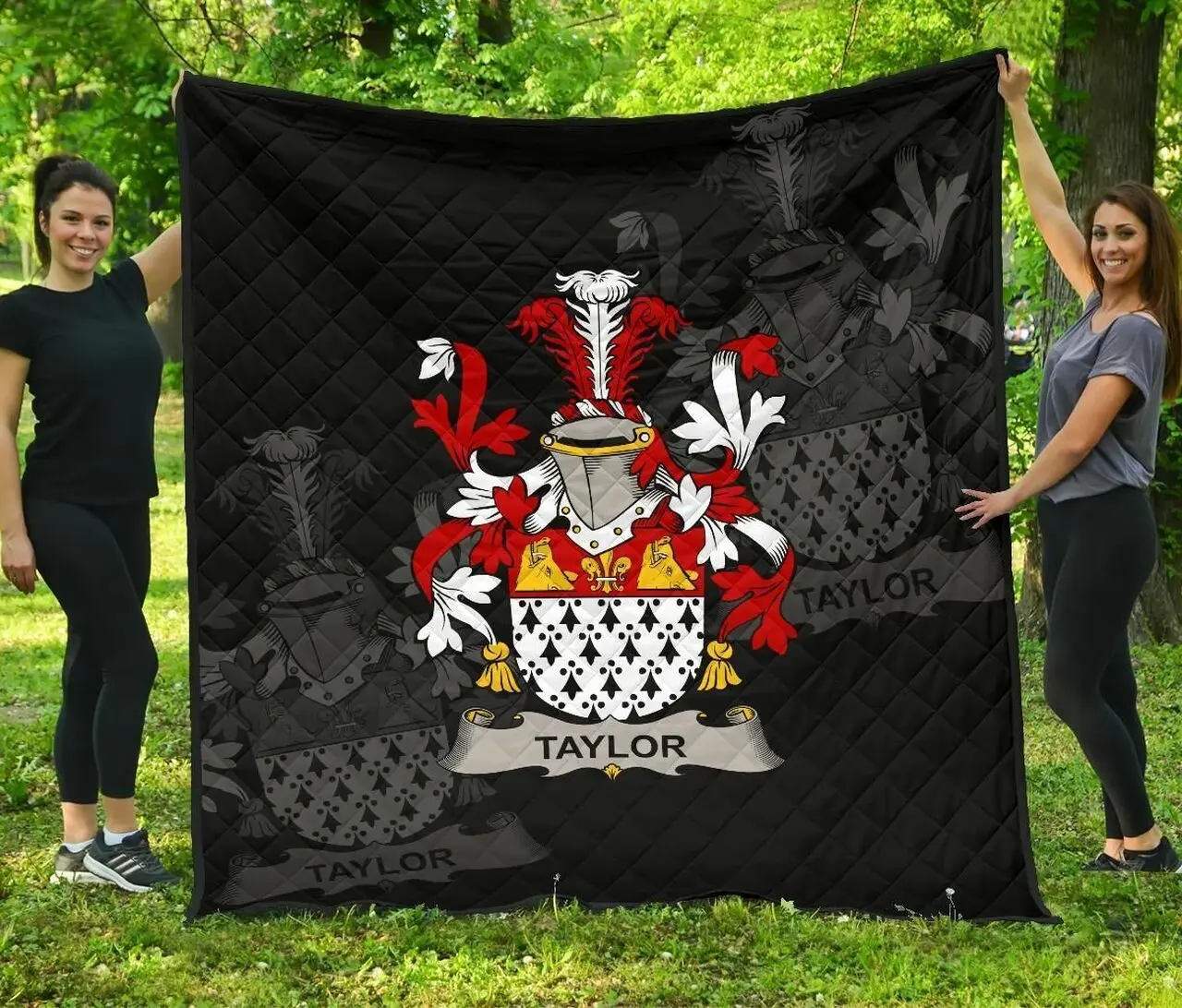 Taylor Ireland Irish Family Crest JFJ13479 3D Customized Quilt 2707 and Home Decor