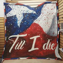 Texas JFJ13539 3D Customized Quilt 2707 and Home Decor