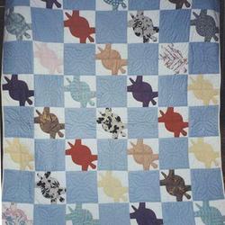 Turtle Cla280675 Quilt Blanket and Home Decor