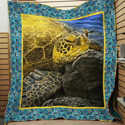 Turtle Quilt Act and Home Decor
