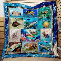 Turtle Quilt Q2602-01 V2 and Home Decor