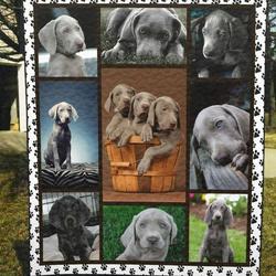 Weimaraner Cute Weimaraner Quilt Vsc and Home Decor