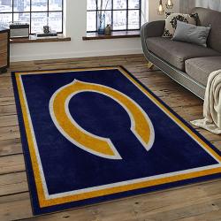 NFL Chicago Bears Football Team Logo Sport Carpet Rectangle Area Rug For Living Room CCB10