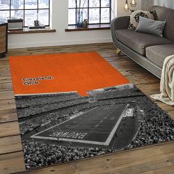 NFL Cleveland Browns Football Team Logo Sport Carpet Rectangle Area Rug For Living Room CB51