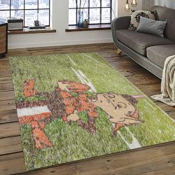 NFL Cleveland Browns Football Team Logo Sport Carpet Rectangle Area Rug For Living Room CB64