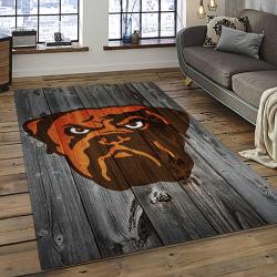 NFL Cleveland Browns Football Team Logo Sport Carpet Rectangle Area Rug For Living Room CB74