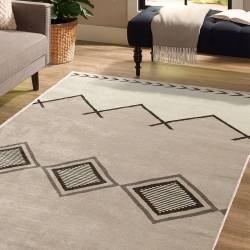 Minimalist Desert Aztec Line Art Area Rug Pattern LUX58
