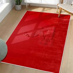 MLB St. Louis Cardinals Area Rug Non-Slip Baseball Carpet Home Decor Gift Idea For Fans SLC50