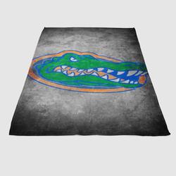 Florida Gators 2 Soft Fleece Blanket Meaningful Gift For Halloween Christmas