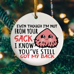 To My Stepdad Even Though I m Not From Your Sack You Christmas Ornament Perfect And Unique Gifts For Family On Christmas
