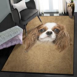 King Washable Area Rugs, Cavalier King Charles Rug