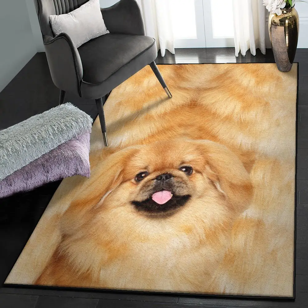 Puppy Modern Rugs, Soft Pekingese GS CL Rug