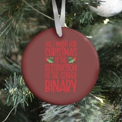 All I Want For Christmas Is The Destruction of The Gender Binary Parody Ornament Perfect And Unique Gifts For Family On Christmas