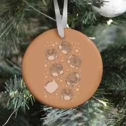 Desert Rain Frog Pattern Ornament Perfect And Unique Gifts For Family On Christmas Holiday