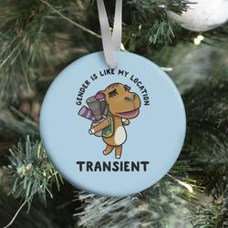 Gender is Like My Location Transient Sahara Ornament Perfect And Unique Gifts For Family On Christmas