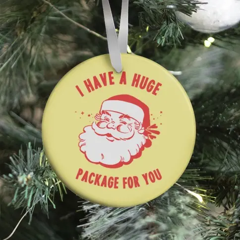 I Have A Huge Package For You Santa Ornament Perfect And Unique Gifts For Family On Christmas