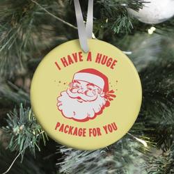 I Have A Huge Package For You Santa Ornament Perfect And Unique Gifts For Family On Christmas