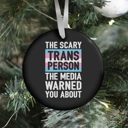 The Scary Trans Person The Media Warned You About Ornament Perfect And Unique Gifts For Family On Christmas